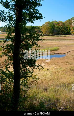 Salt Meadow Unit – Stewart B. McKinney National Wildlife Refuge, Connecticut Stockfoto