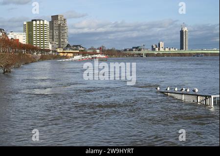 Hochwasser Barriere für Fussgänger und Verkehr mit der Aufschrift Achtung Hochwasser wegen Rhein Hochwasser. Blick auf den Süden von Köln mit Zoobrücke und Bastei *** Hochwasserbarriere für Fußgänger und Verkehr mit der Inschrift Achtung Hochwasser wegen Rhein Hochwasser Blick auf den Kölner Süden mit Zoobrücke und Bastei Stockfoto