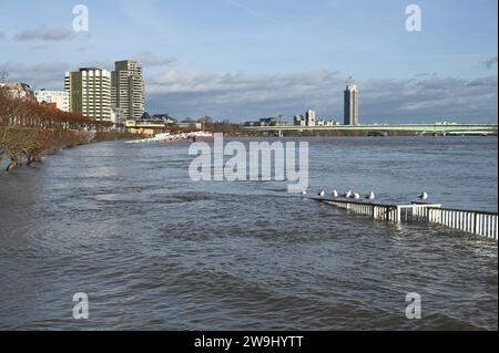 Hochwasser Barriere für Fussgänger und Verkehr mit der Aufschrift Achtung Hochwasser wegen Rhein Hochwasser. Blick auf den Süden von Köln mit Zoobrücke und Bastei *** Hochwasserbarriere für Fußgänger und Verkehr mit der Inschrift Achtung Hochwasser wegen Rhein Hochwasser Blick auf den Kölner Süden mit Zoobrücke und Bastei Stockfoto