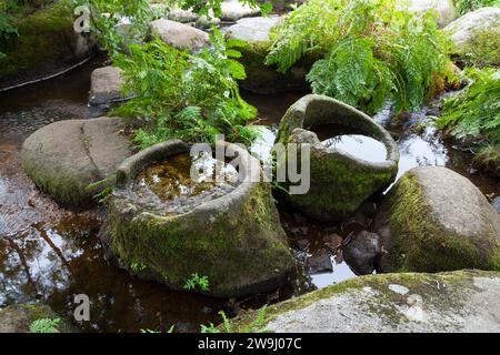 Zwei Granittrögen, die vor langer Zeit für keltische Opferriten am Ufer des Flusses Ellez im Chaos von Mardoul in Loqueffret in Finistè verwendet wurden Stockfoto