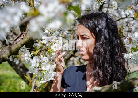 Porträt einer Frau, die weiße Blumen in einem Kirschbaumfeld ansieht. Frühling in der Blüte in Spanien Stockfoto