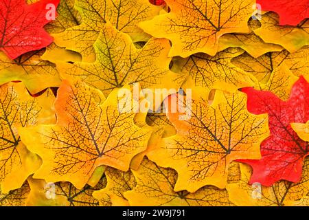 Blätter aus verschiedenfarbigem Material. Naturkonzept. Hintergrund. Stockfoto