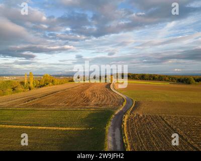 Luftaufnahme eines Feldweges auf der Großauerhoehe im Abendlicht, Berndorf, Niederösterreich, Österreich Stockfoto