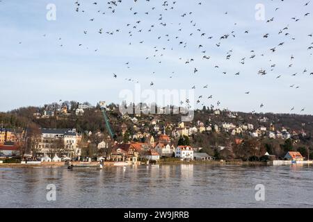 Blick auf die Elbe und ein ueberflutetes Gebiet am 27.12.2023 in der Naehe der Bruecke Blaues Wunder in Dresden. Im Hintergrund ist die Standseilbahn des Stadtteiles Buehlau, Weißer Hirsch zu sehen. Blick auf die Elbe und ein Hochwassergebiet am 27. Dezember 2023 in der Nähe der Blauen Wunder Brücke in Dresden. Im Hintergrund sehen Sie die Standseilbahn im Stadtteil Buehlau, Weißer Hirsch. Suche: Deutschland neue Bundesländer Sachsen totale Uebersicht Dresden Fluss Fluesse Elbe Wetter Landschaft Flusslandschaft Wetterfeature Flut ueberflutet Hochwasser, Natur Katastrophe Naturkatastrophe Umwe Stockfoto