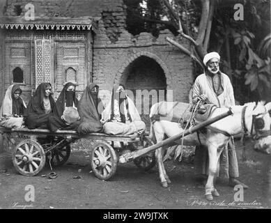 Zangaki. 0896. Araber mit drei Ehefrauen und zwei Servanten, die entsättigt wurden. Stockfoto