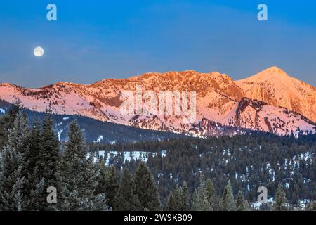 Vollmonduntergang bei der ersten Ampel über den bridger Mountains bei bozeman, montana Stockfoto