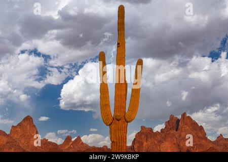 Sonnenuntergang in den Kofa Mountains, Arizona Stockfoto