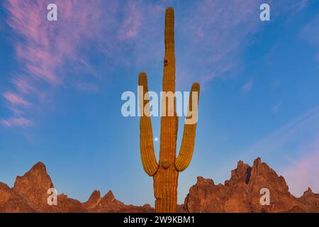 Sonnenuntergang in den Kofa Mountains, Arizona Stockfoto