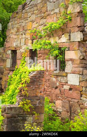 Cellblock Ruine, alte New-Gate Gefängnis & Kupfer Mine archäologische Bewahren, Connecticut Stockfoto