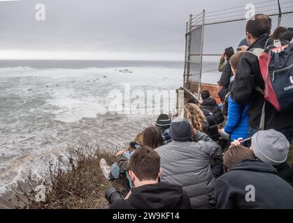 Princeton, Usa. Dezember 2023. Die Zuschauer versuchen, einen Blick auf die Surfer zu werfen, die am Donnerstag, den 28. Dezember 2023, in Princeton, Kalifornien an den Klippen um die Pillar Point Air Force Station in Princeton, Kalifornien, teilnehmen. Das Wetter verhinderte die meisten Menschen eine freie Sicht. Foto: Terry Schmitt/UPI Credit: UPI/Alamy Live News Stockfoto