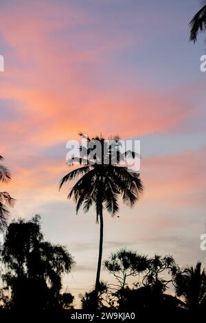 Silhouette der Palme gegen Sonnenuntergang in Sansibar Stockfoto