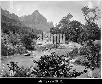 Zion's Peak, Rio Virgin, Utah. Alte Nr. 92. "Der Wachmann, Zion-Nationalpark - R.T. Evans" das ist Stockfoto