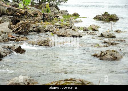 Steine und Stämme umgestürzter Bäume am Ufer eines großen Sees mit Whirlpool umgeben von Bergen. Teletskoye See, Altai, Sibirien, Russland. Stockfoto