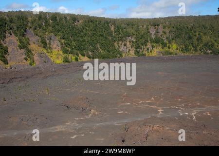 Kilauea Iki Krater vom Puupaui Overlook, Hawaii Volcanoes National Park, Hawaii Stockfoto