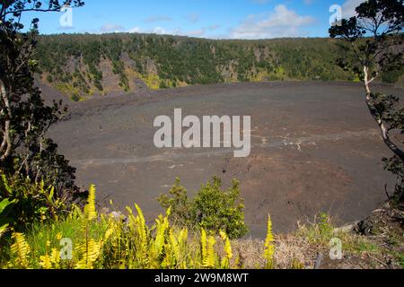 Kilauea Iki Krater vom Puupaui Overlook, Hawaii Volcanoes National Park, Hawaii Stockfoto