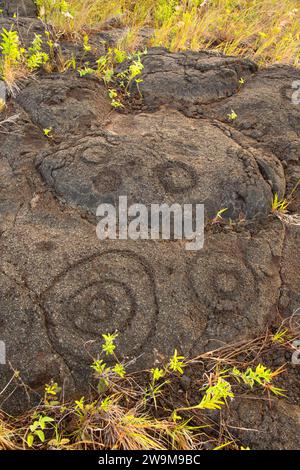 Puuloa Petroglyphs, Hawaii Volcanoes National Park, Hawaii Stockfoto