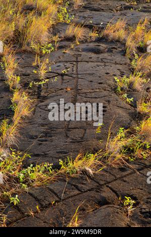 Puuloa Petroglyphs, Hawaii Volcanoes National Park, Hawaii Stockfoto