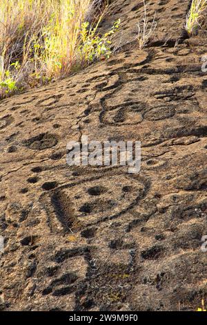 Puuloa Petroglyphs, Hawaii Volcanoes National Park, Hawaii Stockfoto