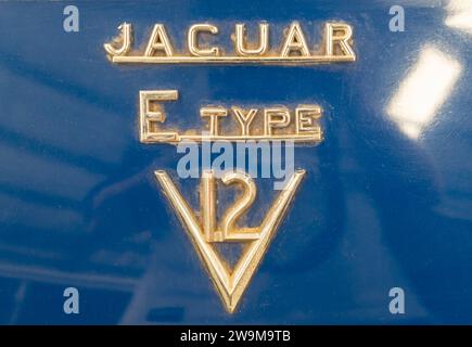 Jaguar E Typ V12 auf blauem Logo im Inverell National Transport Museum Stockfoto