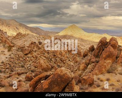 Dunkle Wolken über der Forty-Nine Palms Oasis, Joshua Tree National Park, Kalifornien, USA. Stockfoto