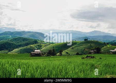 Landschaftsblick auf das grüne Reiseroumfeld in Pa Pong Pieng, Chiang Mai, Thailand bei Sonnenuntergang. Landschaft mit Bergen. Reisterrasse im Berg Stockfoto