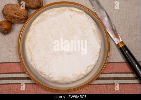 Französischer Camembert-Weichkäse, Original Camembert de Normandie mit weißer Schimmelform Stockfoto