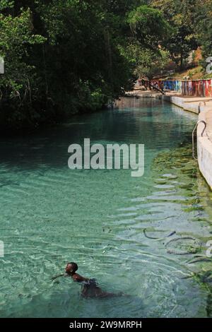 Yankari Game Reserve Stockfoto