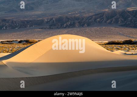 Die Sanddünen werden im Death Valley National Park, CA, durch Licht am frühen Morgen beleuchtet. Stockfoto