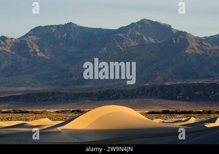 Die Sanddünen werden im Death Valley National Park, CA, durch Licht am frühen Morgen beleuchtet. Stockfoto