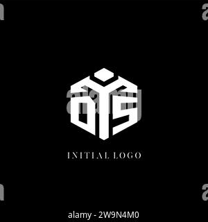 Ursprüngliche Vektorgrafik des DS-Logos in sechseckiger Form mit geometrischem Stil Stock Vektor