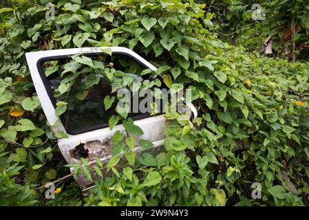 Im Kalinago-Territorium befindet sich ein Auto auf dem Abschnitt 6 des Waitukubuli National Trail auf der Karibikinsel Dominica. Stockfoto