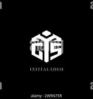 Ursprüngliche geometrische Vektorgrafik des GS-Logos in sechseckiger Form Stock Vektor