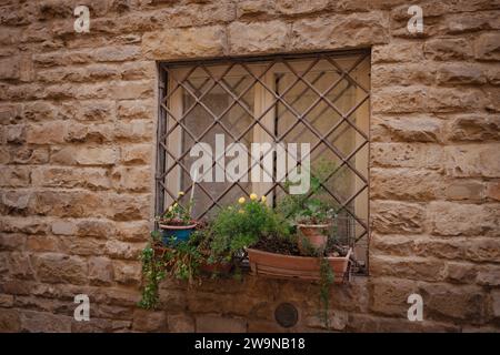 Vintage-Fenster mit eisernem Gitter, dekoriert mit frischen Blumen an der Steinmauer in Florenz, Italien Stockfoto