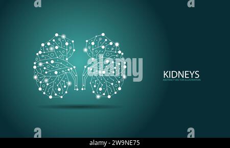 Abstrakte Darstellung der Nieren mit Linien und Punkten. EPS. Vektordatei. Stock Vektor