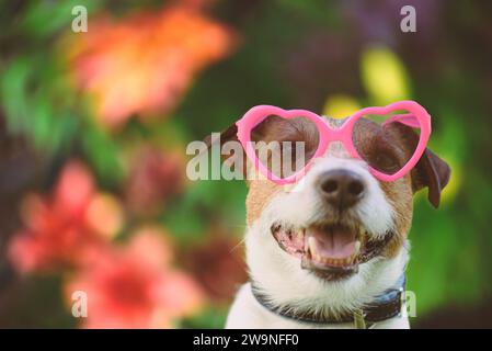 Porträt eines hübschen lächelnden Hundes in herzförmiger rosa Sonnenbrille vor bunter floralem Hintergrund. Frühlings- und Liebeskonzept. Stockfoto