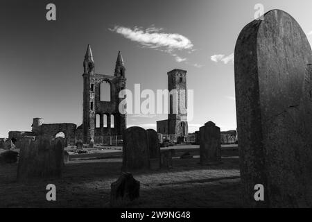 Foto: © Jamie Callister. St Andrews, Fife, East Scotland, 10. November 2023 Stockfoto