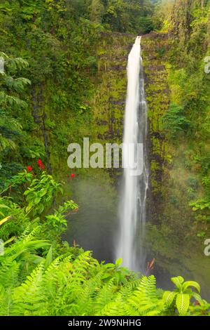 Akaka Falls, Akaka Falls State Park, Hawaii Stockfoto