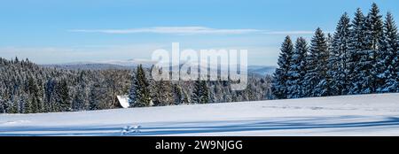 Panoramablick Winter hügelige Landschaft mit Berghütte und Nadelwald. Blick vom Isergebirge zum Riesengebirge, Tschechien Stockfoto