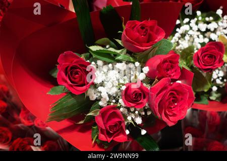 Ein halbes Dutzend roter Rosen gewickelt Blumenstrauß mit weißen Blumen, zum Valentinstag, Muttertag, als Geburtstagsgeschenk oder als Überraschungsartikel für Dating. Stockfoto