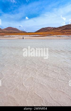 Tuyajto-Lagune und Salzsee im Altiplano (Hochplateau der Anden) über 4000 Meter über dem Meeresspiegel mit Salzkruste am Ufer, Stockfoto