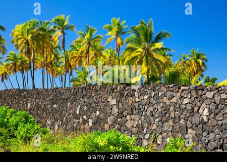 Die Chinesische Mauer mit Palmen, Puuhonua o Honaunau National Historical Park, Hawaii Stockfoto