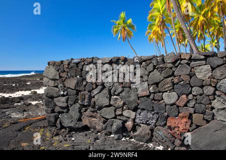 Die Chinesische Mauer mit Palmen, Puuhonua o Honaunau National Historical Park, Hawaii Stockfoto