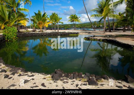 Royal Fish Pond, Puuhonua o Honaunau National Historical Park, Hawaii Stockfoto