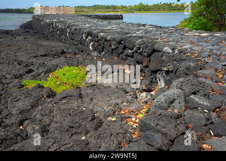 Kaloko Fishpond mit Mauer, Ala Kahakai National Historic Trail, Kaloko-Honokohau National Historical Park, Hawaii Stockfoto