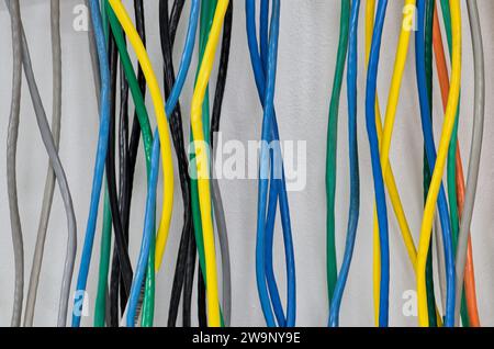 Bunte elektrische Kabel, die vertikal an einer Wand hängen. CAT5 Twisted-Pair-Kabel für Computernetzwerke. Stockfoto