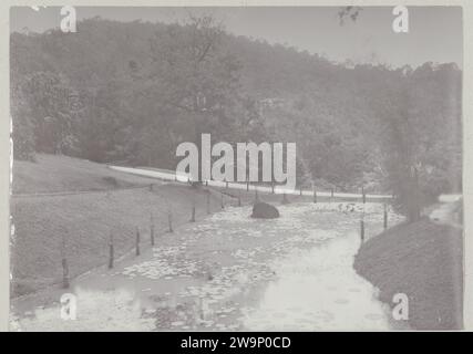 Teich mit Seerosen mit einem bewaldeten Hang im Hintergrund, 1880 - 1885 Foto Penang baryta Papierteich, Pool Stockfoto