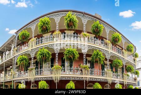 Weitwinkelblick auf hängende Körbe im traditionellen New Orleans Gebäude im French Quarter mit grauem schmiedeeisernen Balkon Stockfoto