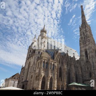 Stephansdom Übersetzung Stephansdom Kirche In Wien, Österreich Stockfoto