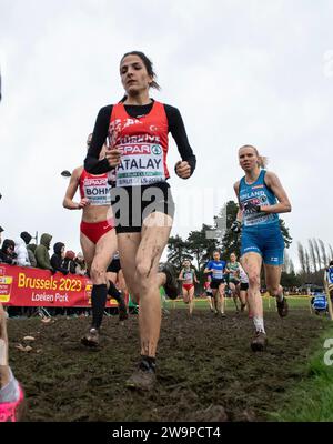 Bahar Atalay aus der Türkei trat am 10. Platz im Seniorenrennen der Frauen bei den SPAR-Cross-Country-Europameisterschaften im Laeken Park in Brüssel an Stockfoto