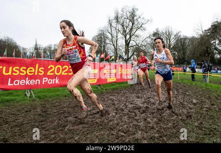 Cristina Ruiz aus Spanien trat am 10. Platz im Seniorenrennen der Frauen bei den SPAR-Cross-Country-Europameisterschaften im Laeken Park in Brüssel an Stockfoto